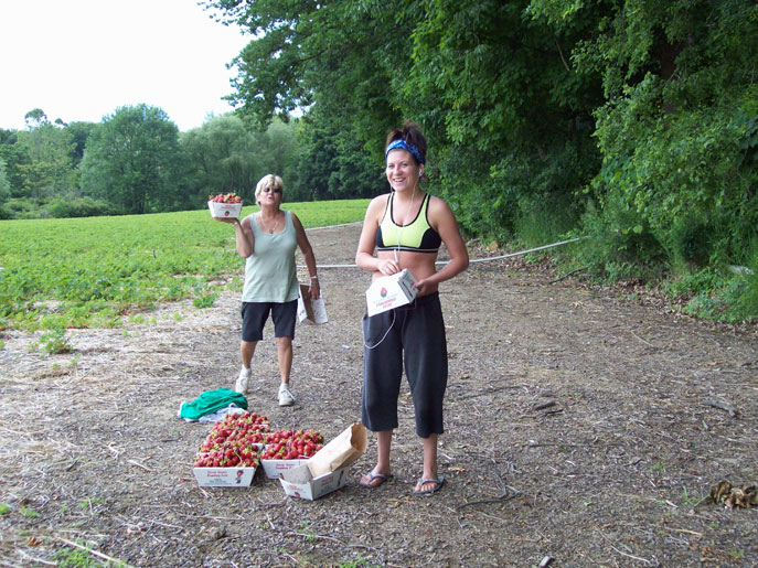 2 Pickers Picking Strawberries